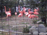 SA3A0295.JPG