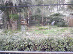 SA3A0296.JPG