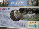 SA3A0302.JPG