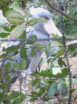 SA3A0304.JPG