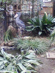SA3A0306.JPG