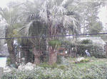 SA3A0308.JPG