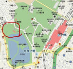 ueno2.jpg