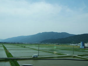 79db2289.jpg
