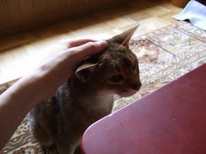 f0c386cc.jpg