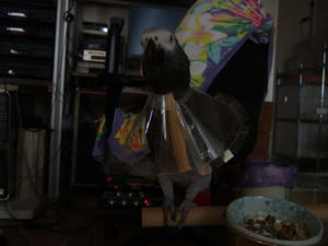 854644e0.jpg