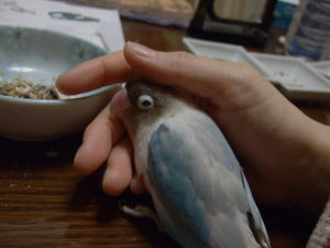 33a60da5.jpg