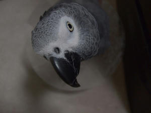 s-aru792.jpg