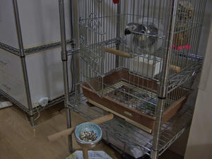 7c07a2d5.jpg