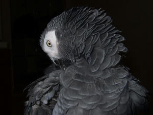 b2b028f9.jpg