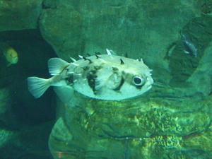 5f9dc836.jpg