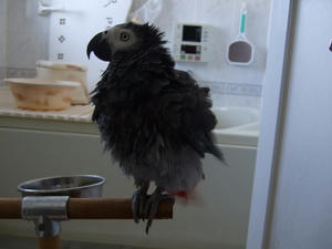 e5d6b600.jpg