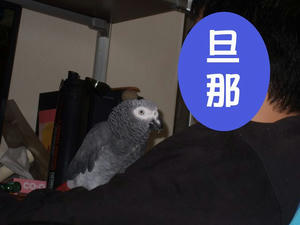 09ea93f0.jpg