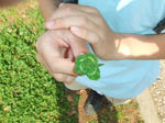 DSCF0013.JPG