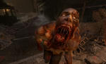 c20090518_fear2_10_cs1w1_480x294.jpg