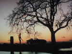 2009_0131071003tonai0024.jpg