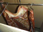 DSCF0202.JPG