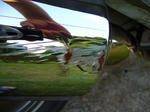 P1010415.JPG