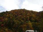 P1010678.JPG