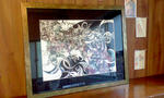 CA390211.jpg