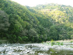 IMG_1547.jpg