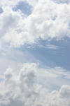 f66b0083.jpg