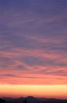 IMG_1635.jpg