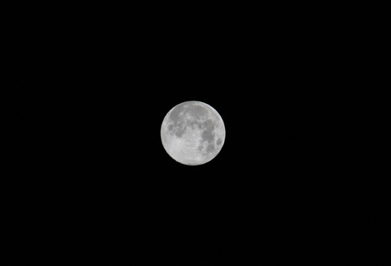 IMG_7251.jpg