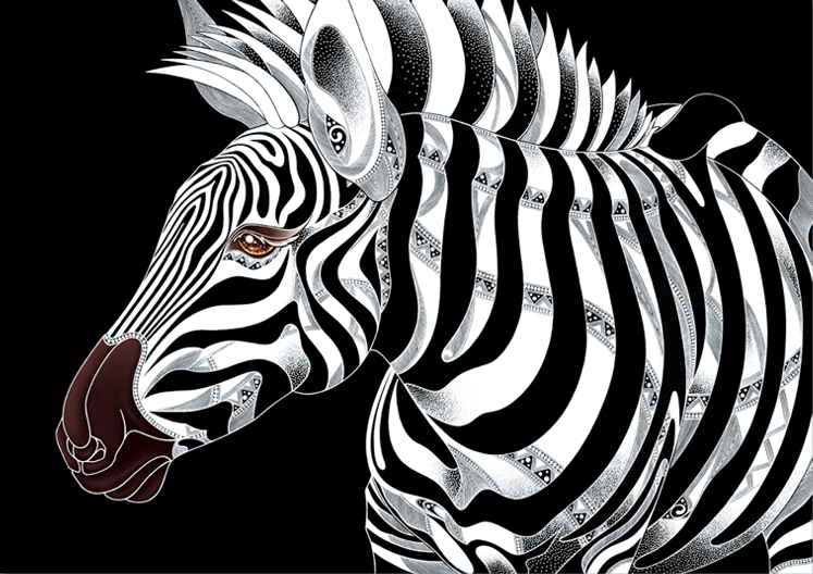 zebra.jpg