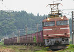 EF81-28.jpg