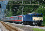 9772.jpg