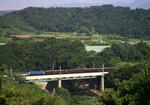 9763.jpg