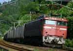 8097.jpg