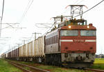 8097-2.jpg