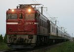 8002-2.jpg