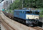 6794.jpg