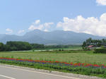 P8110043.JPG
