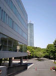 080506_1147~0001.jpg
