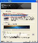 divx02.gif