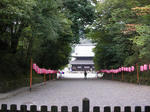 泉涌寺
