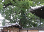 今熊野神社
