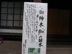 なぎの木