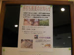 蕎麦打ちイベント案内