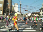 京都マラソンのひよこ？