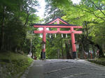 日吉大社の鳥居