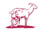 ma004.jpg
