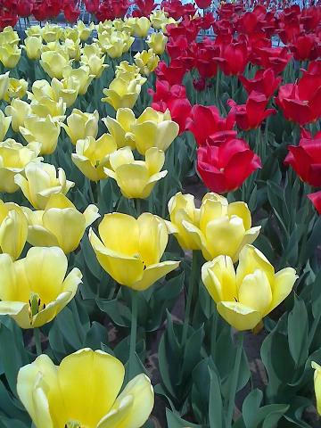 16-04-08_1138.jpg
