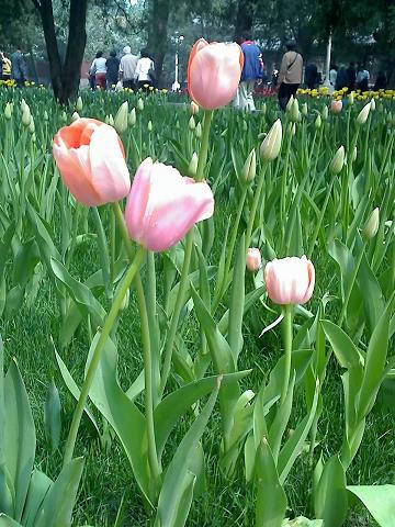 16-04-08_1143.jpg