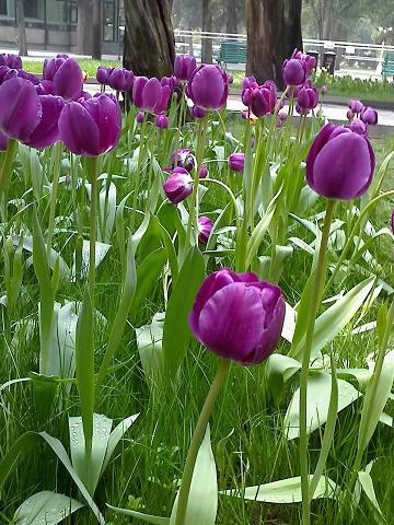 16-04-08_1203.jpg