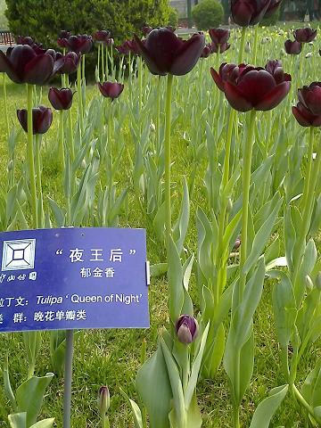 16-04-08_1219.jpg